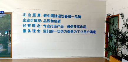 午夜视频网站泰
